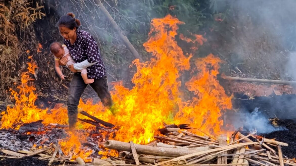 Build a firewood warehouse. and Vegetable Gardening. Daily life of a single mother