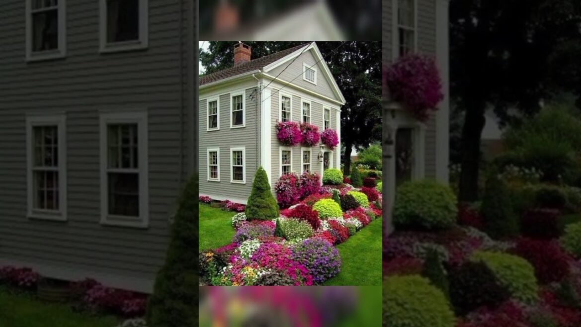 Amazing Front Yard Landscape Designs || Garden Decoration Ideas