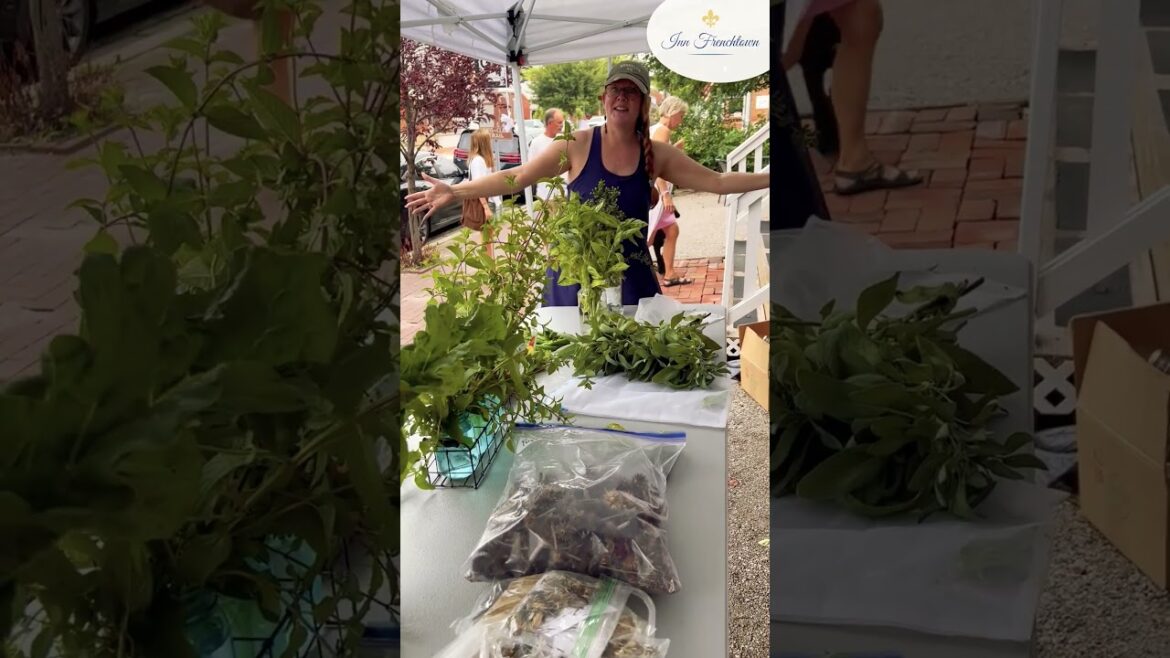 September HFA Garden Swap: Trading Garden Treasures in Historic Frenchtown!
