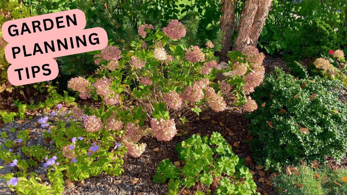 Picture Perfect Garden Planning: 5 Tips for Photos, Video & Empty Spaces Picture Perfect Garden Planning: 5 Tips for Photos, Video & Empty Spaces