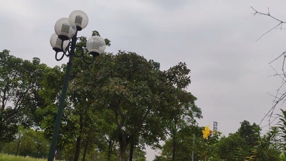 Organic Gardening Unveiled: A Tour of Clean Practices