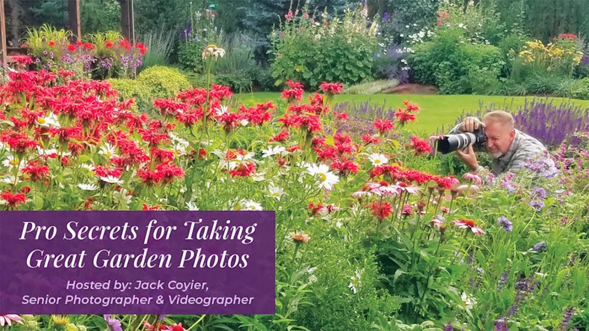 How to Take Better Garden Photos: Tips from a Pro | Garden Gate Seminars