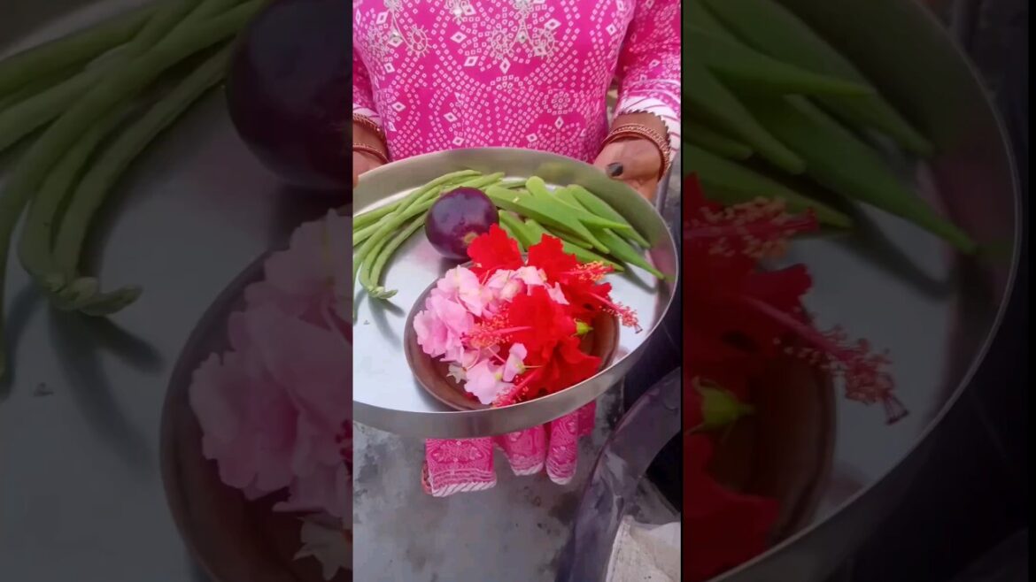 Harvesting Organic vegetables #shorts #short #gardening Harvesting Organic vegetables #shorts #short #gardening