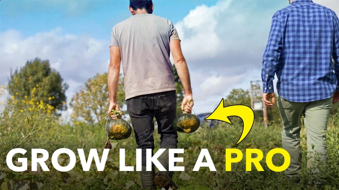 Veggie Gardening Masterclass: How a Pro Grows $100,000s of Crops