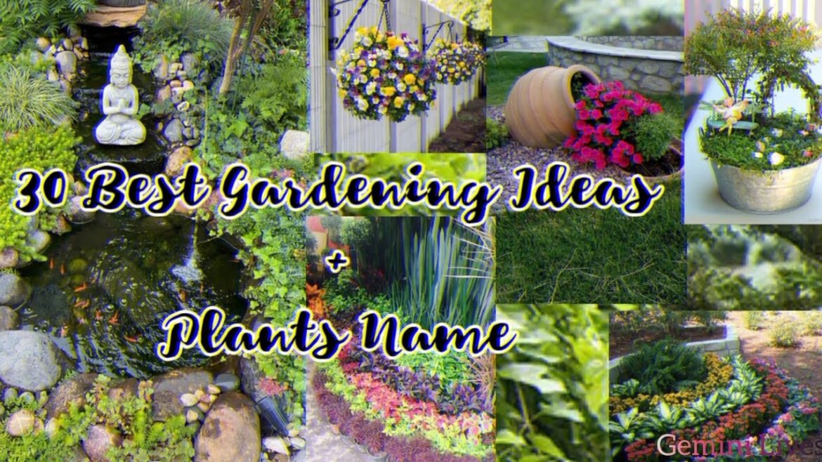 30 Amazing Ways to Decor Your Garden🍃