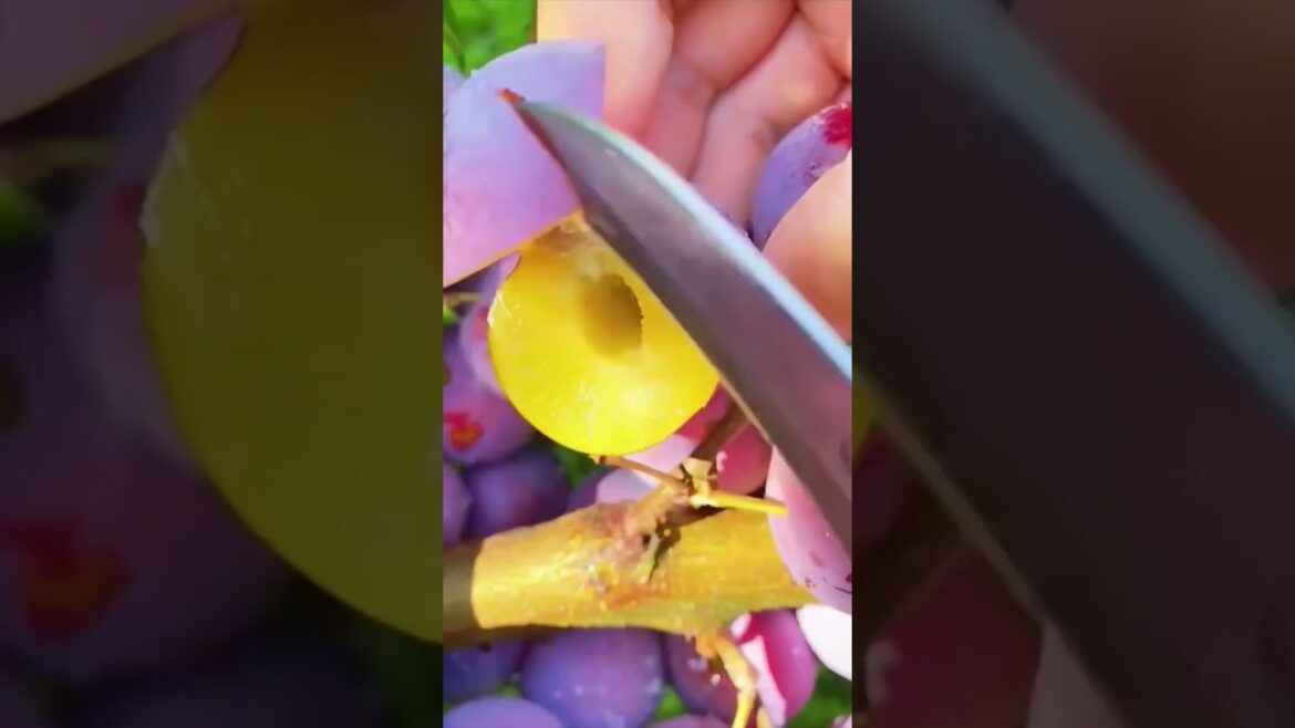 Farm Fresh Ninja Fruit Cutting!! #155 #shorts #shortsfeed #viral #vegetables #fruits 🥝🍓🍎🍒🍐🍉