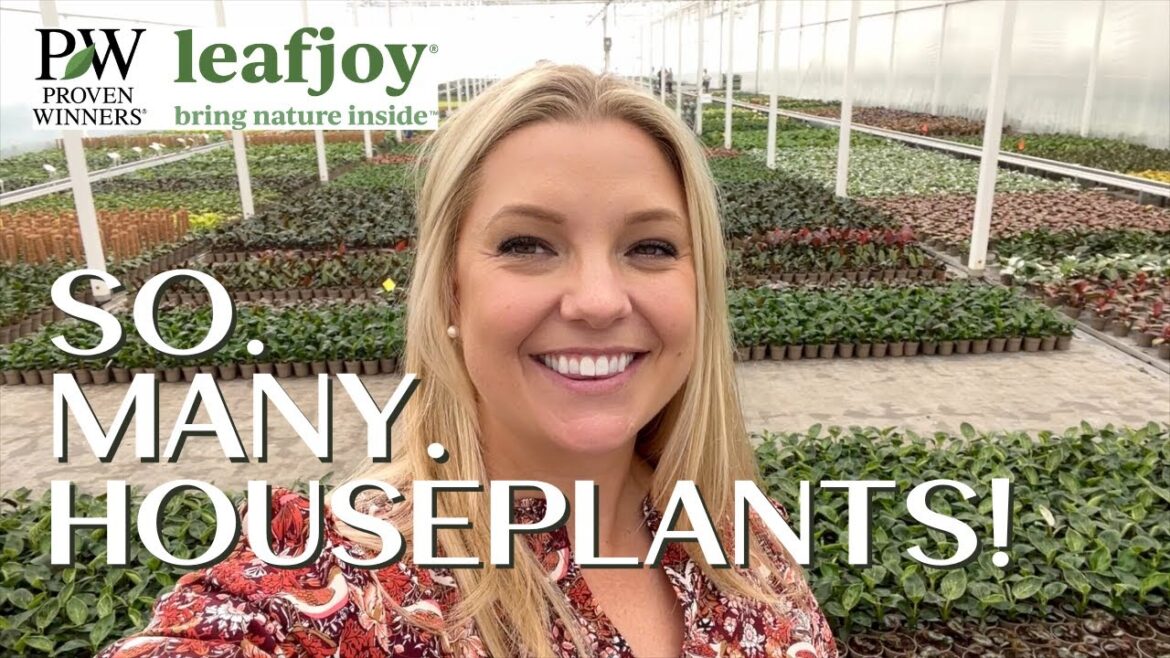 🪴 Proven Winners leafjoy Greenhouse Tour!!! 🪴 :: Trip to Virginia to See Where These Babies Grow!