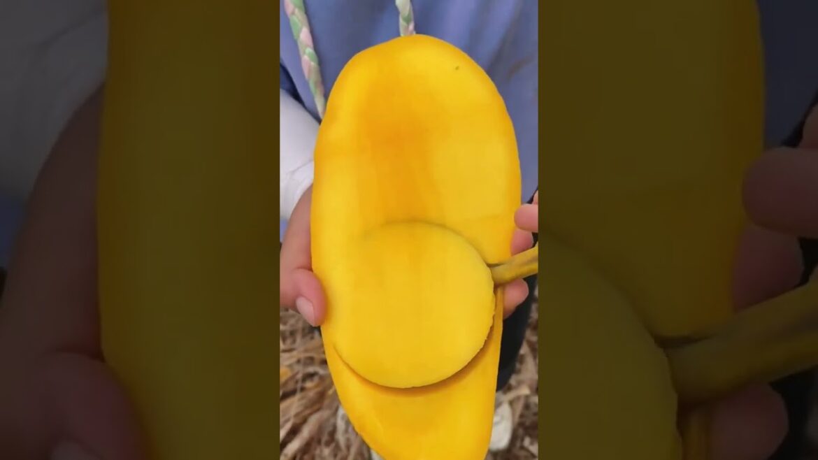 Farm Fresh Ninja Fruit Cutting!! #154 #shorts #shortsfeed #viral #vegetables #fruits 🥝🍓🍎🍒🍐🍉