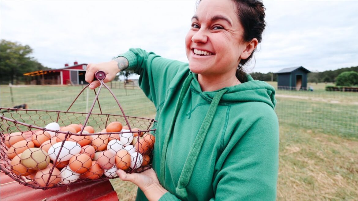Roots and Refuge Farm: Swimming in Eggs (Fall planting, a bit at a time) | VLOG Swimming in Eggs (Fall planting, a bit at a time) | VLOG