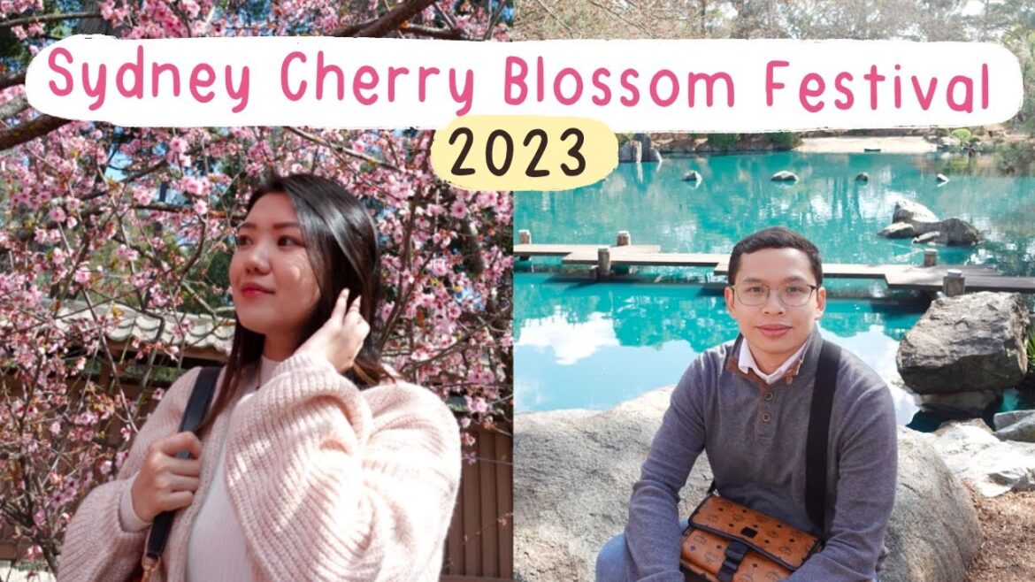 Sydney Cherry Blossom Festival (2023) Sydney Cherry Blossom Festival (2023)