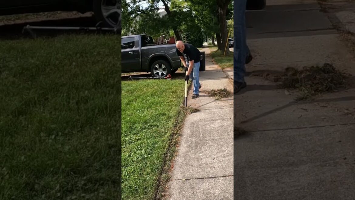 Yard Makeovers RULE!