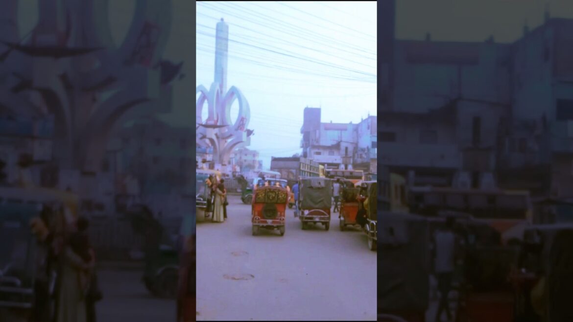 garden বাড়ি 👍#shorts #short #youtubeshorts #shortvideo garden বাড়ি 👍#shorts #short #youtubeshorts #shortvideo