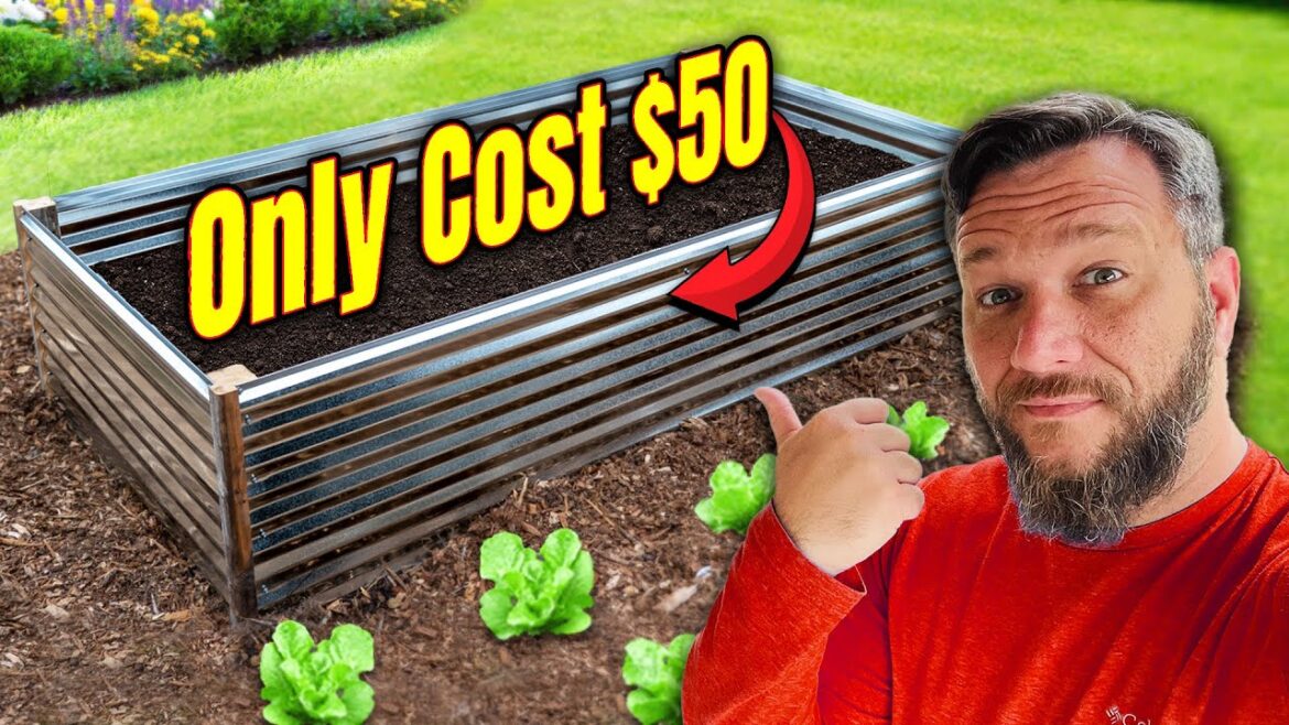 Build a 4x8 Raised Garden Bed for $50! This Hack Makes it Stronger With No Wood (almost)