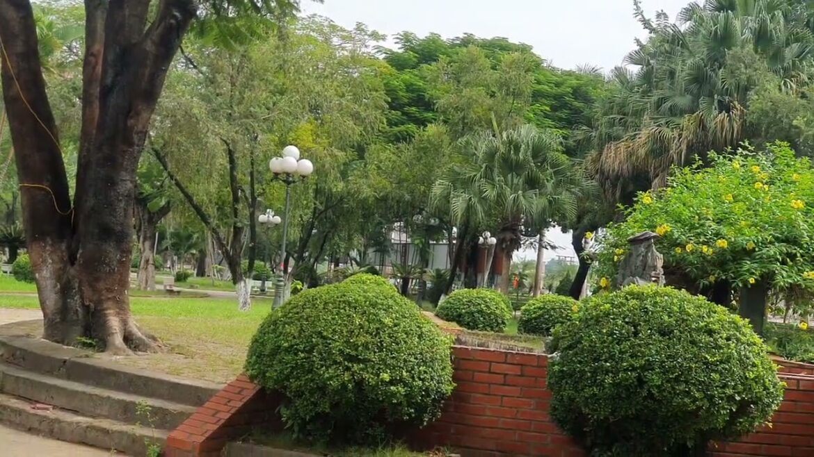 Organic Gardening Tips: Creating a Chemical-Free Paradise