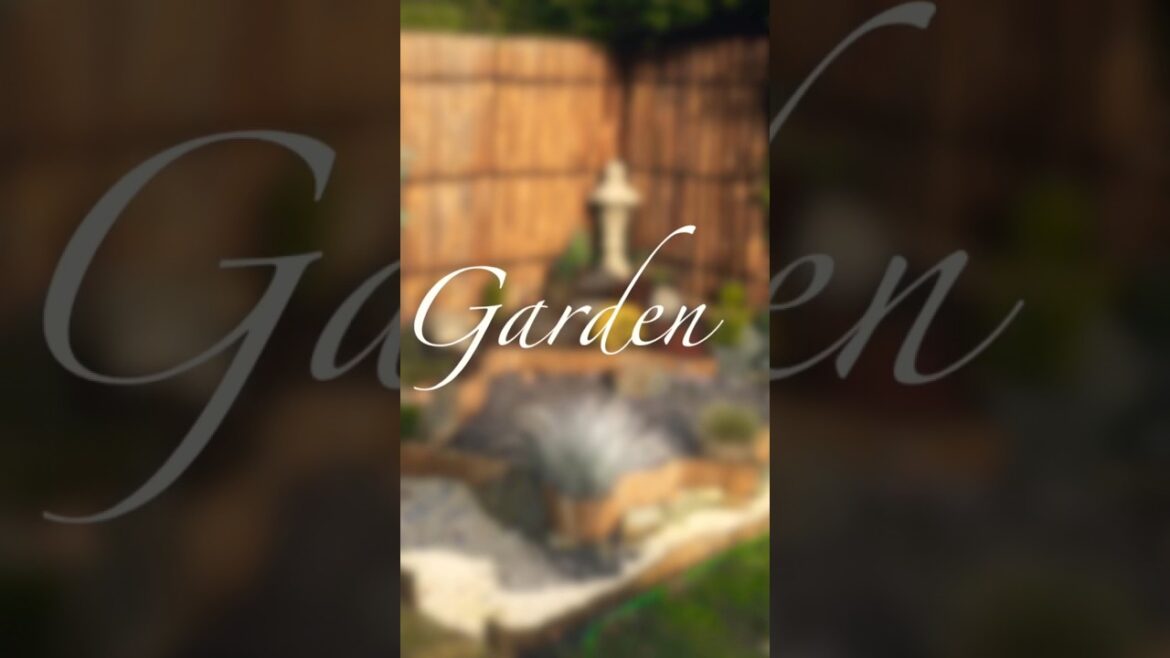 My DIY Zen Garden #zengarden  #gardenscapes  #garden #landscaping #gardening #gardens