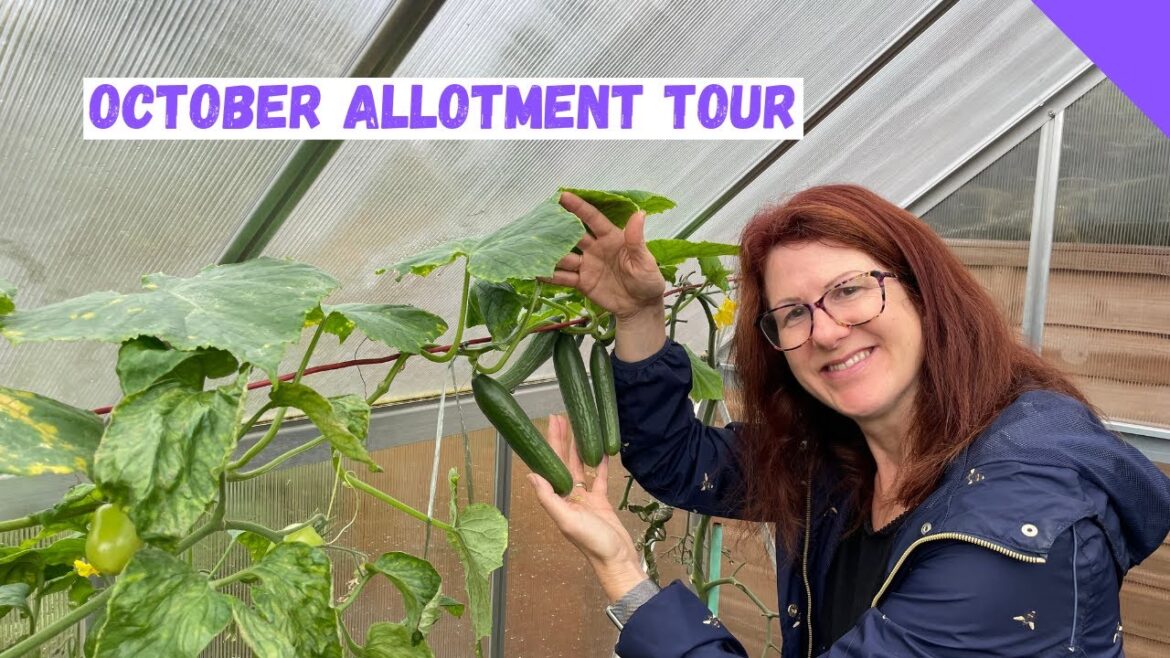October Allotment Garden Tour - Allotment Gardening For Beginners UK