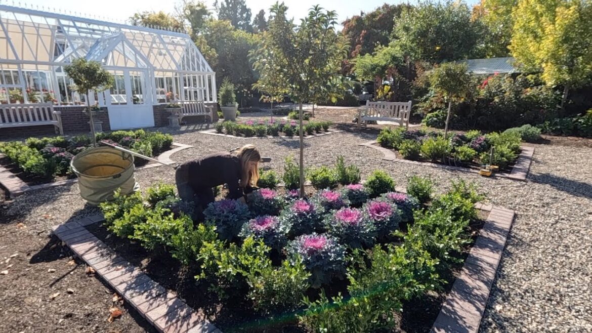 Fall Plants for the Hartley! 🍂🥰🍁  // Garden Answer