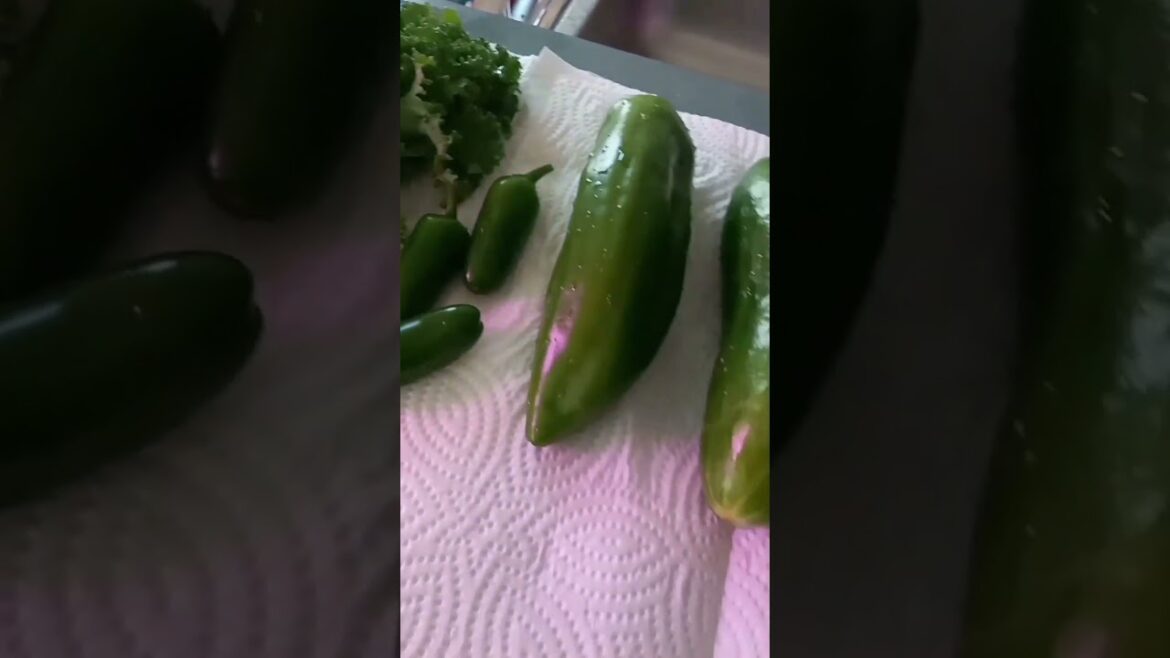 Breakfast from the garden! | Container Gardening | Small Space Gardening