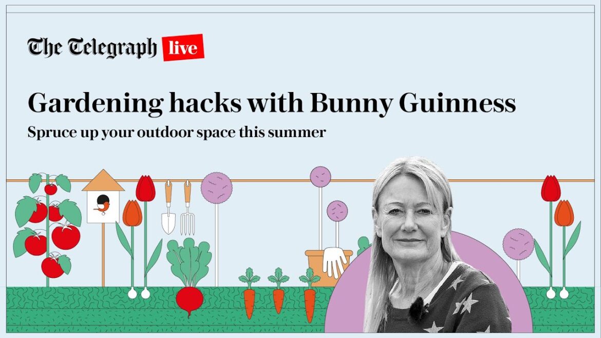 A beginner’s guide to gardening with Bunny Guinness A beginner's guide to gardening with Bunny Guinness