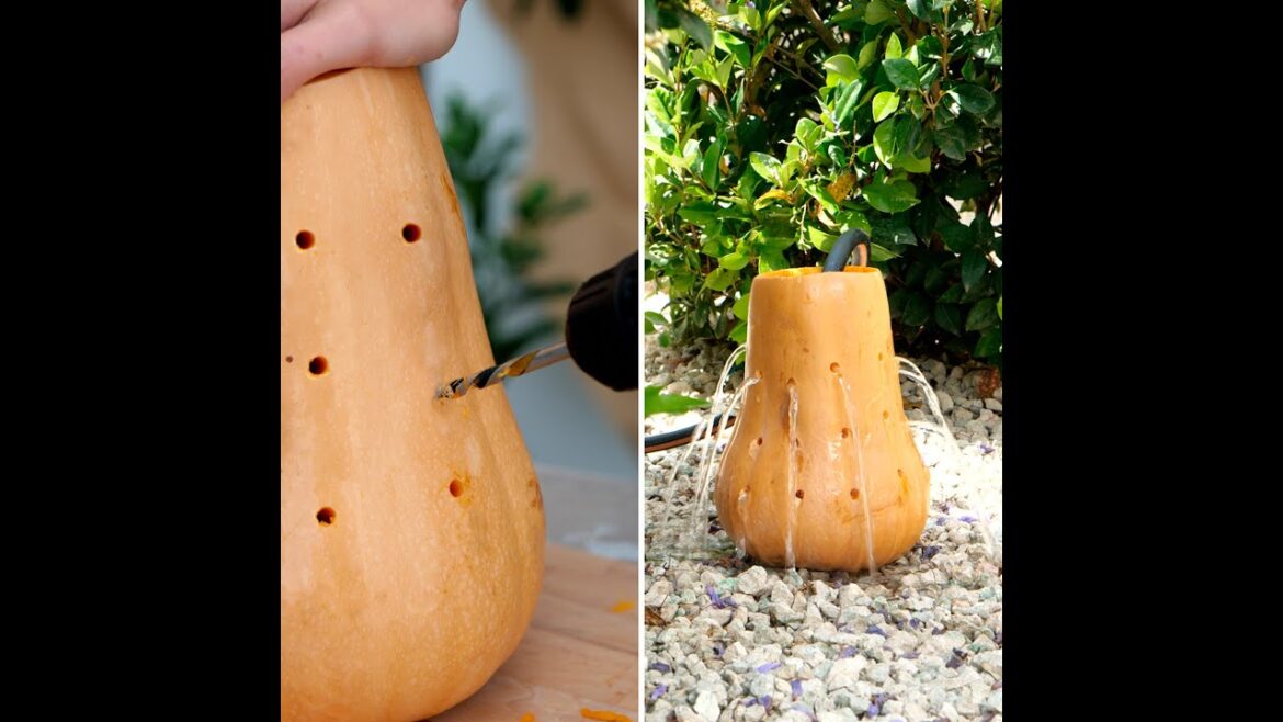 BEST TIPS TO GROW YOUR PERFECT GARDEN 🥦🍎 #123go #kevin #shorts