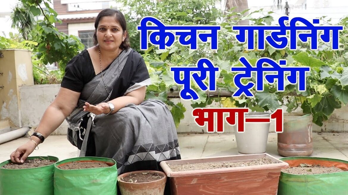 किचन गार्डनिंग के लिए अच्छी मिटटी ऐसे तैयार करें। Practical knowledge of kitchen, terrace gardening. किचन गार्डनिंग के लिए अच्छी मिटटी ऐसे तैयार करें। Practical knowledge of kitchen, terrace gardening.