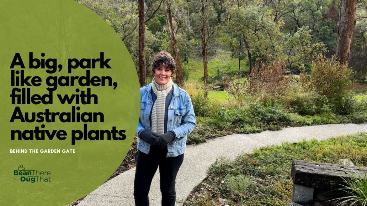 🌱 Australian native garden with restored wetland & plants for wildlife - Behind the Garden Gate