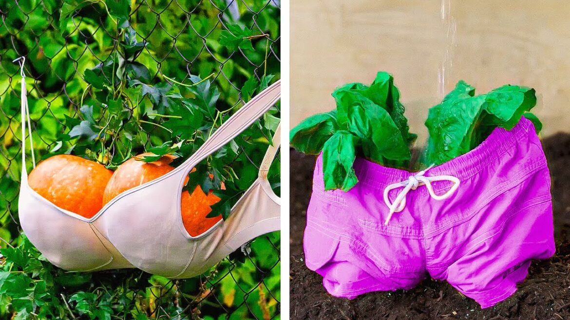 Plant Growing Techniques For True Gardeners