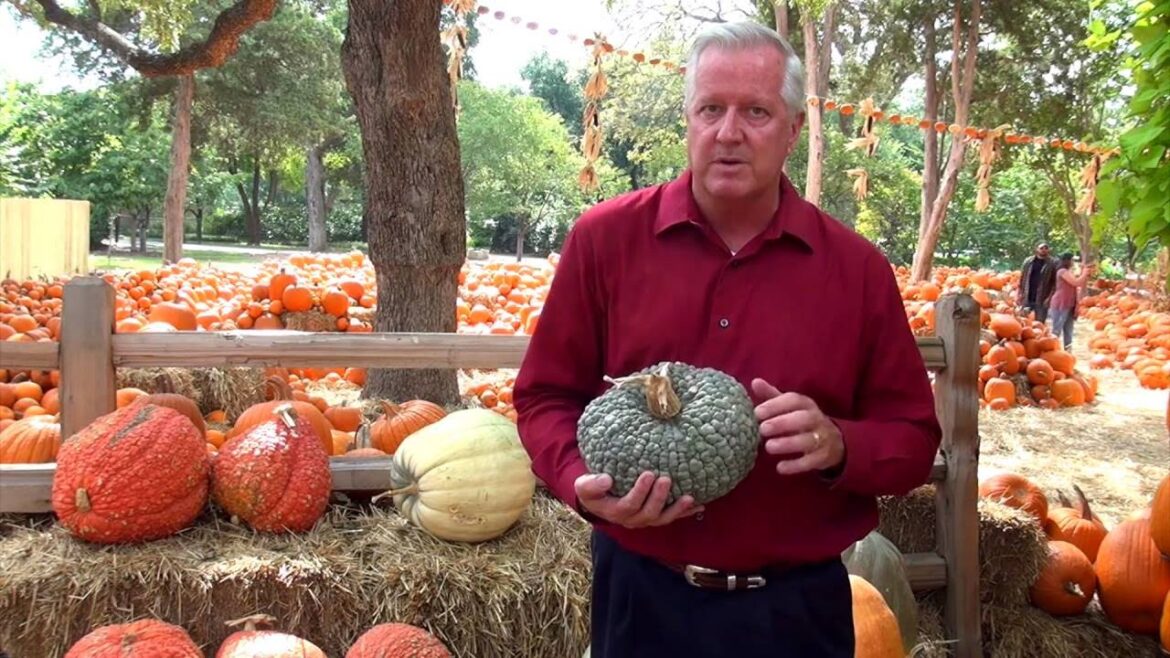 In the Garden with Dave Forehand: Edible Pumpkins In the Garden with Dave Forehand: Edible Pumpkins