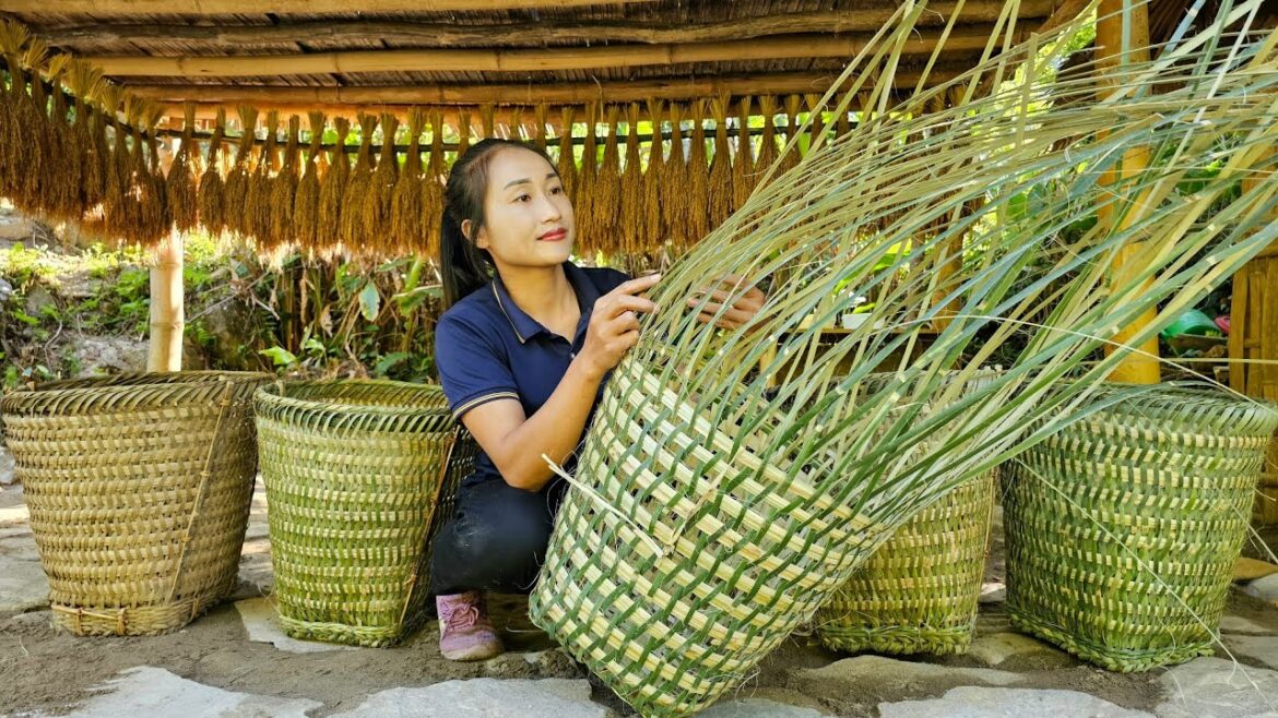 Bamboo basket weaving process – Harvest green vegetable garden goes to market sell | Ly Thi Tam Bamboo basket weaving process - Harvest green vegetable garden goes to market sell | Ly Thi Tam
