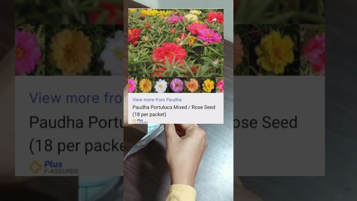 flipkart unboxing portulaca flowering seeds#shorts#portulacaflower#ytshorts#garden#gardening