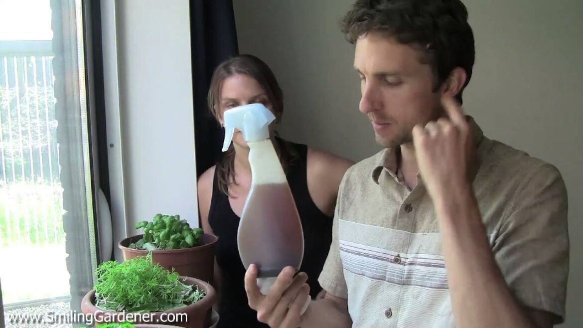 Container Gardening Series - Maintaining Your Container Garden