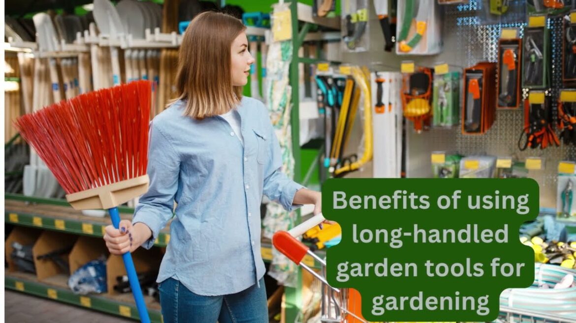 Long Handled Garden Tools"Transform Your Home with Smart Tools Corner: A Complete Guide"