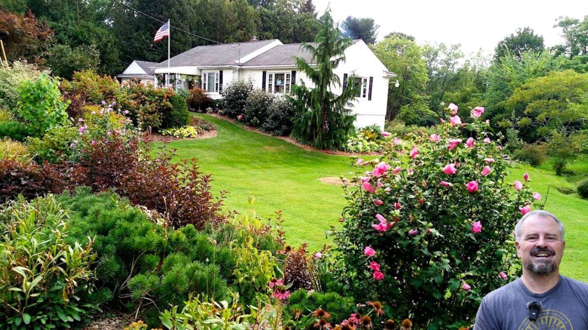 10 Amazing Garden Transformations