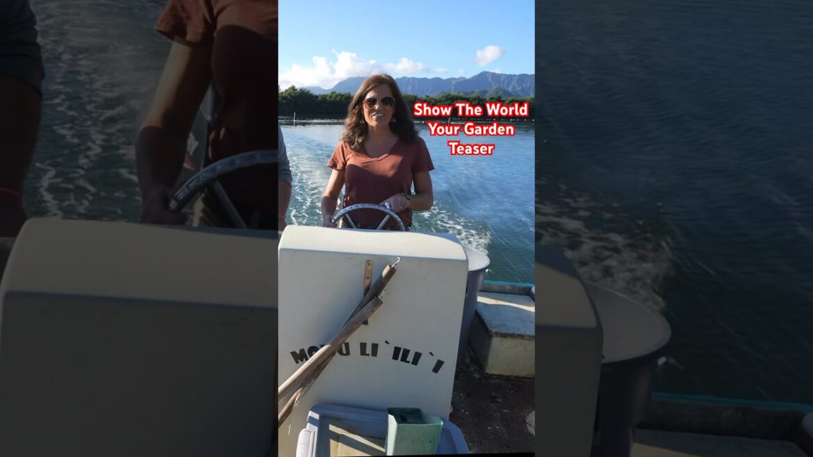 Where am I off to now?