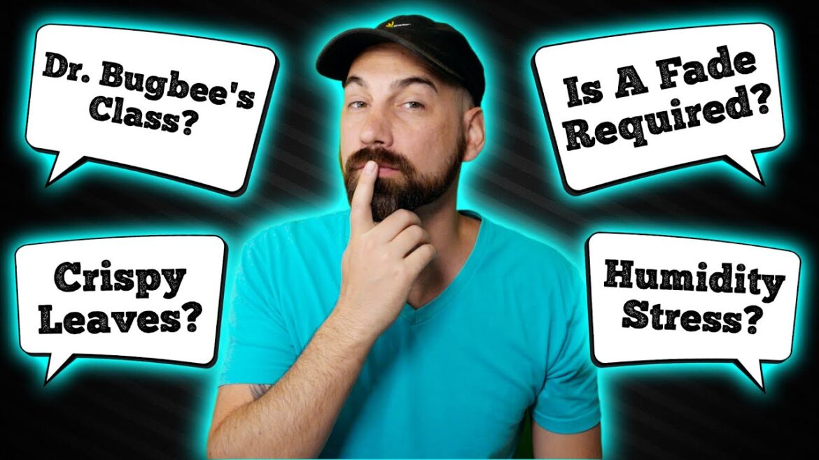 Gardening Questions… ANSWERED! (Q&A #22) Gardening Questions... ANSWERED! (Q&A #22)