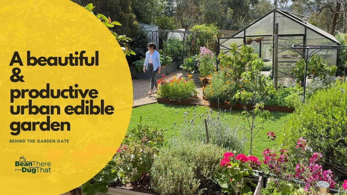 A productive edible organic garden with vegetables, fruit trees & flowers – Behind the Garden Gate A productive edible organic garden with vegetables, fruit trees & flowers - Behind the Garden Gate