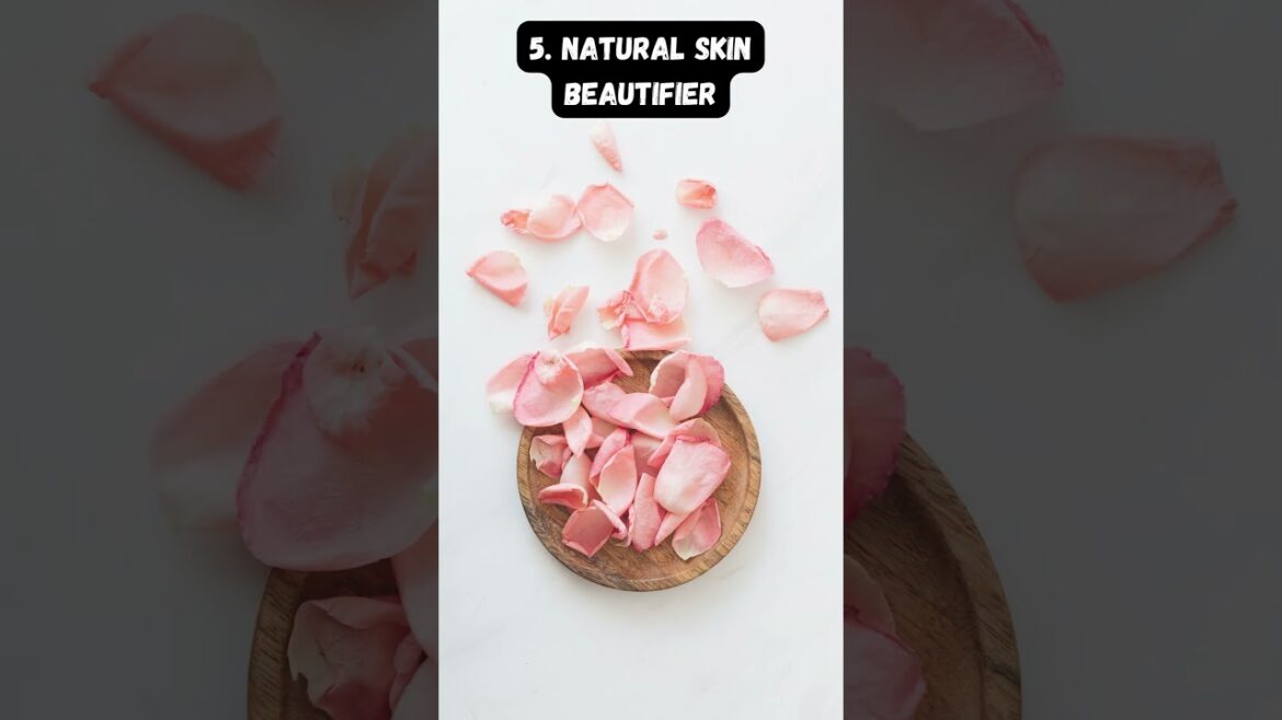 Floral Fantasy-Unveiling the Health Wonders of Edible Rose Petals 🌹🌿 #rose #roses #shortvideo #virl