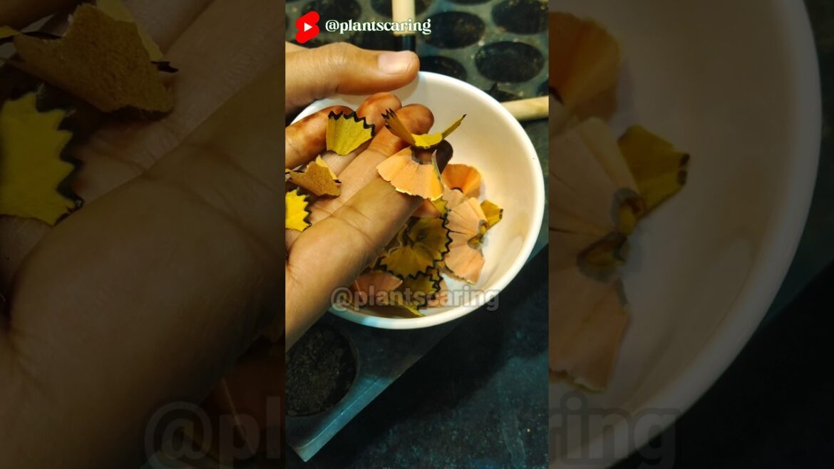 🌱 Tips for Plants Care | How to care plants | Gardening Hacks #viral #shorts #gardeninghacks