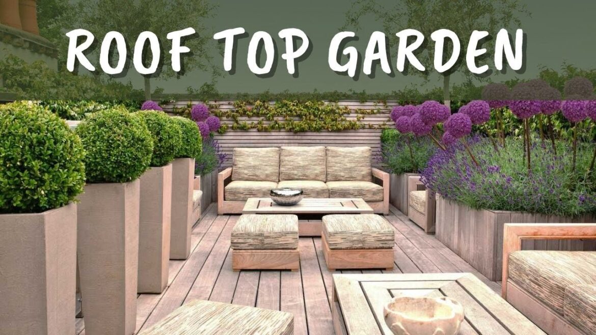 Roof Top Garden Ideas Modern Roof Garden Design