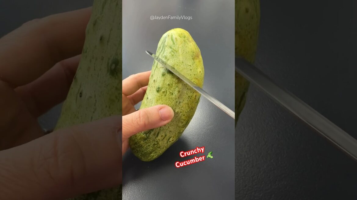 Gherkin Cucumber ?!🥒😱 #shorts #satisfying #garden #fruit #food #cucumber