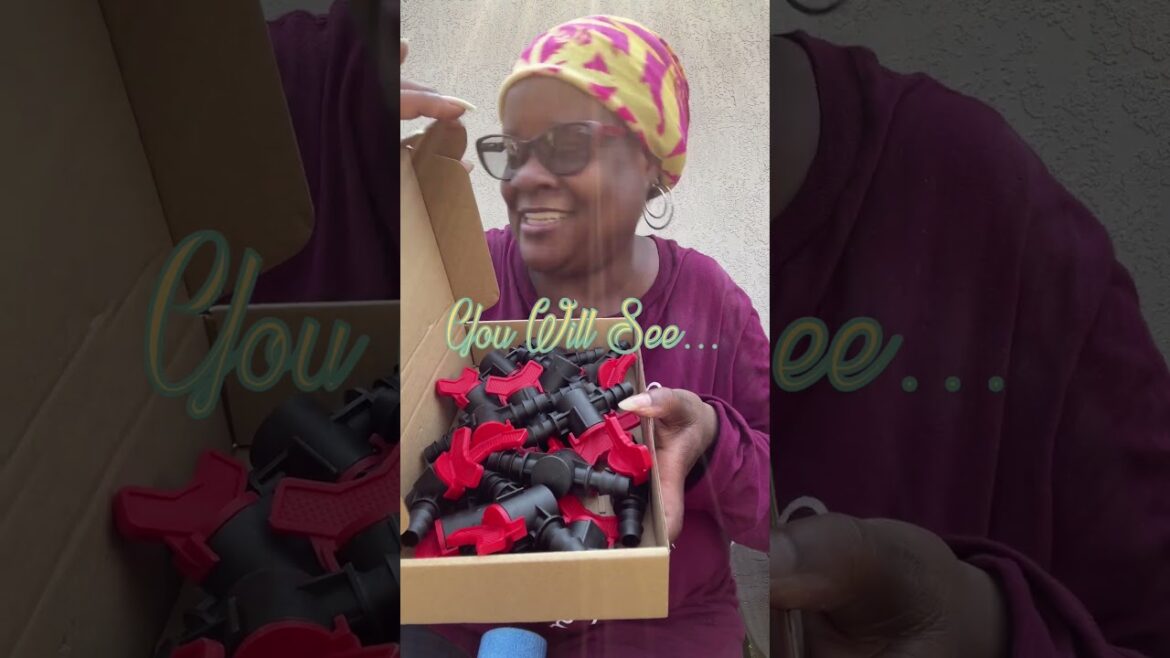 Zone 9B Urban Small Space Container Gardening Garden Projects Coming June 10