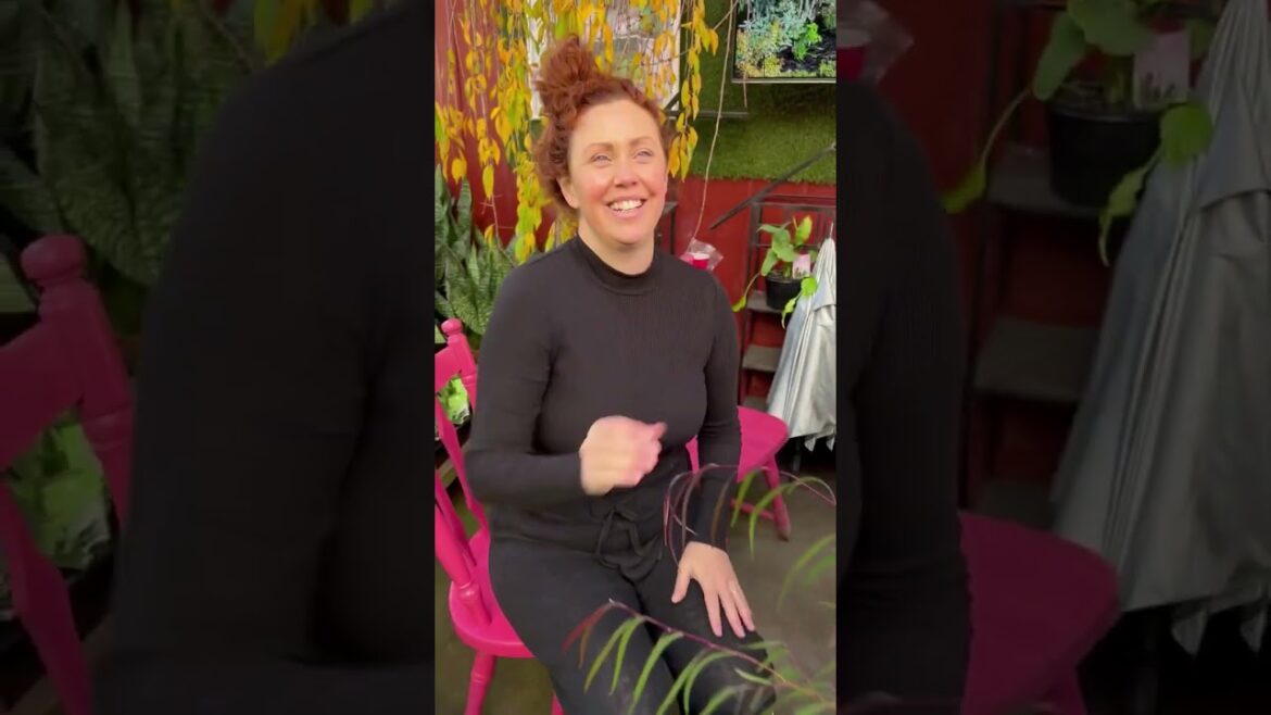 Garden Design Part III - Decision Maker & Budget🌷🌿