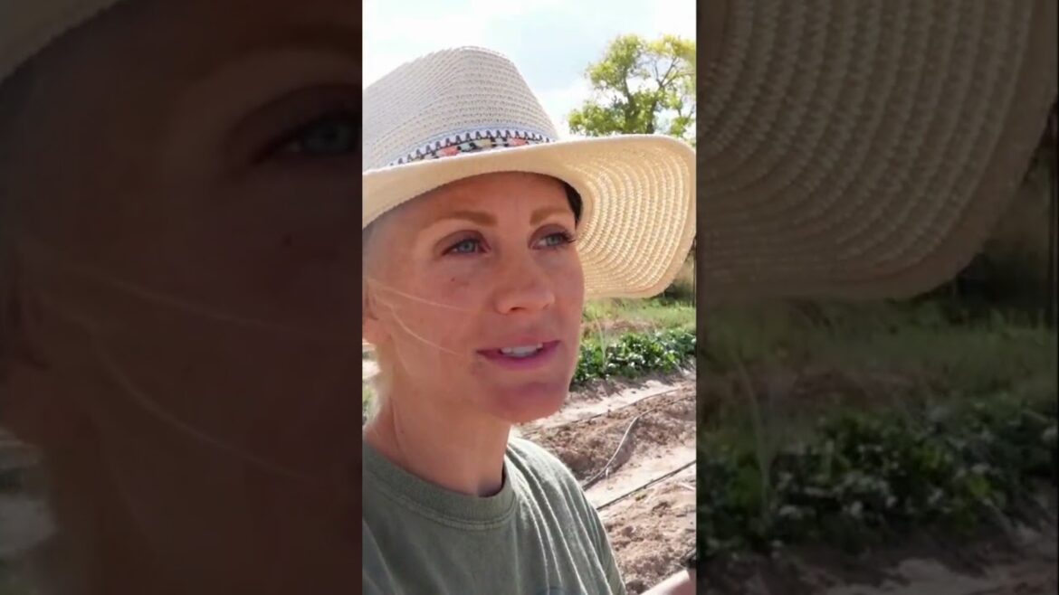 Fall Traditions🍁 Garlic Planting Day #Hugeplantingday Fall Traditions🍁 Garlic Planting Day #Hugeplantingday