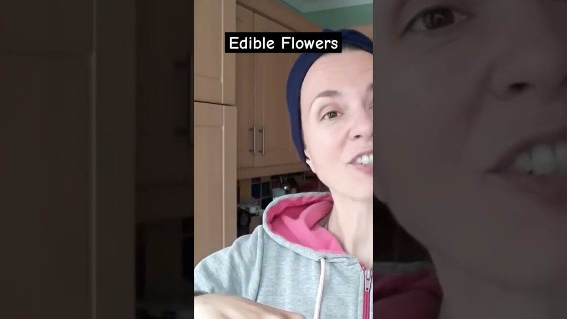 Edible Flowers From My Garden