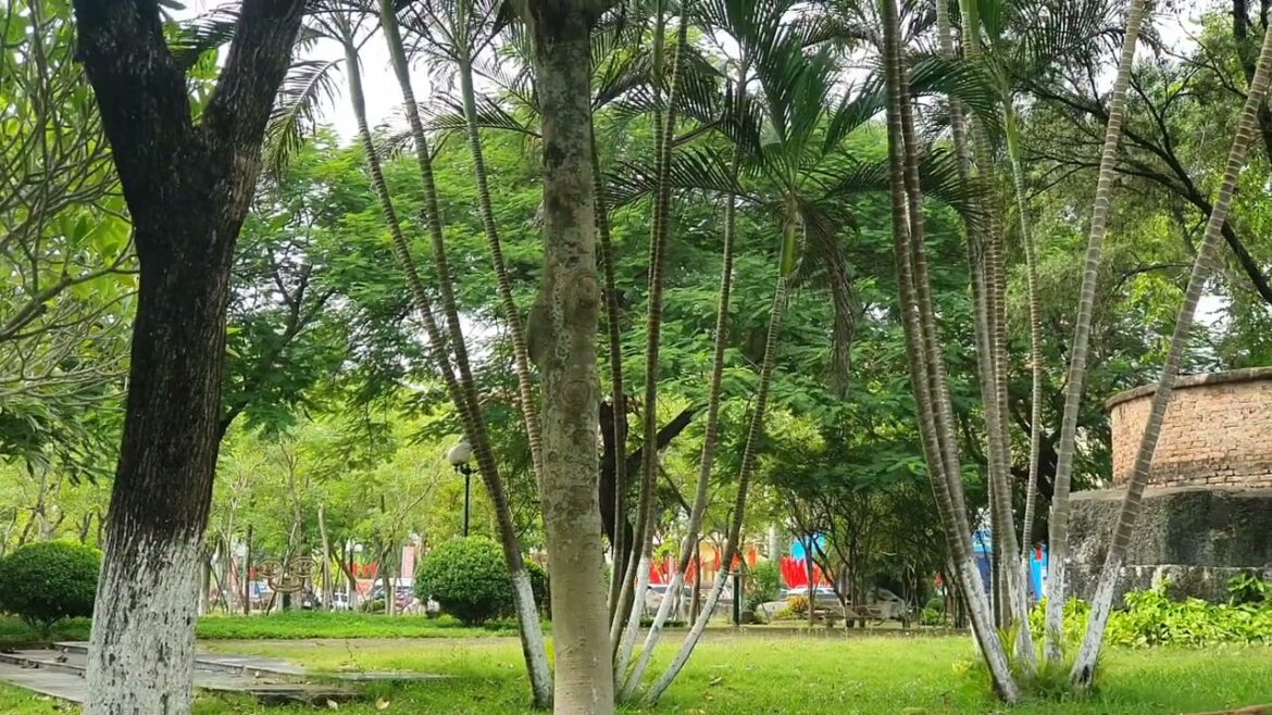 Sustainable Gardening Trends: Staying Clean and Green