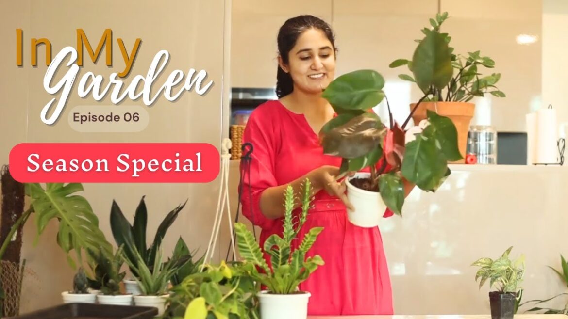 Plant Shopping: What did I get after 1.5 years | Ep.6 | In My Garden | Season Special | #gardenup Plant Shopping: What did I get after 1.5 years | Ep.6 | In My Garden | Season Special | #gardenup