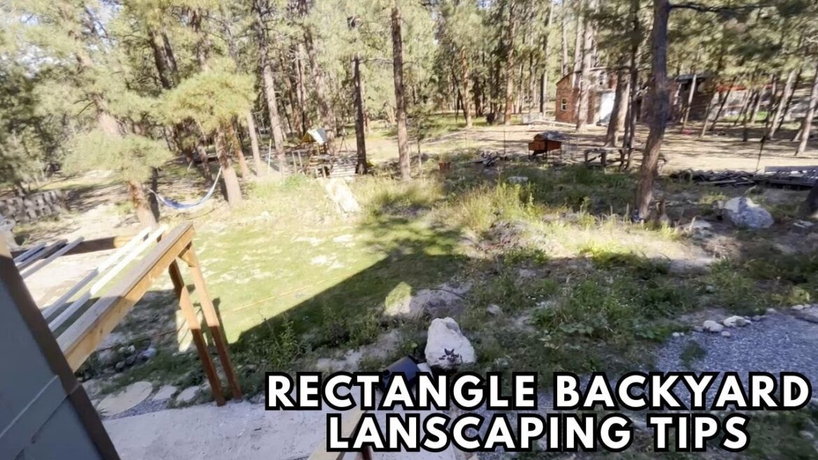 Rectangle Backyard Landscaping Ideas and Tips