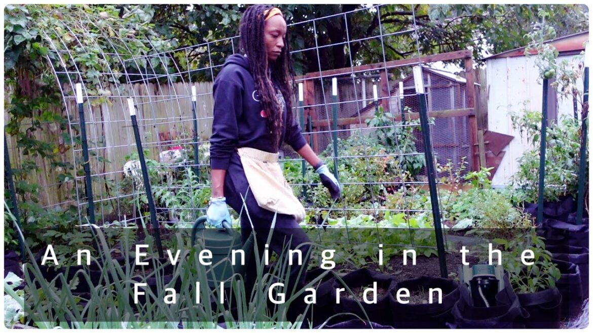 When Fall Comes - Ep. 5 (Vloggish) | Fertilizing | Quick Look At The Garden | A Little Planting