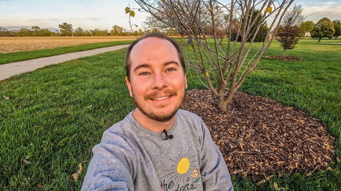 Cover Them With the Bodies of Their Dead Ancestors (Protecting Your Investments in the Garden) Cover Them With the Bodies of Their Dead Ancestors (Protecting Your Investments in the Garden)