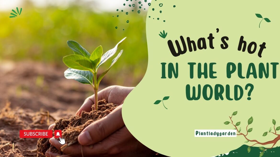 🌱 2023's Top Garden Trends: What's Hot in the Plant World? 🌱